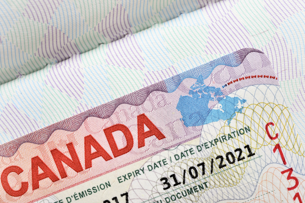 I can create the optimized alt text, but I need to see the image first.
Please upload the image you want me to describe.