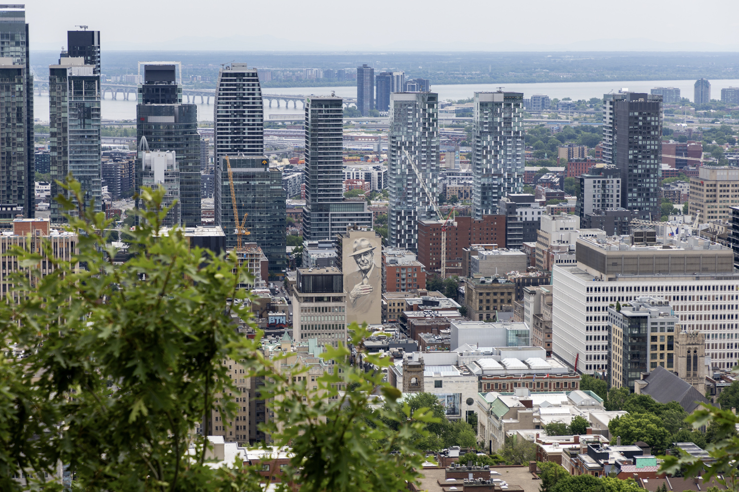 Couple hiking in Canadian forest