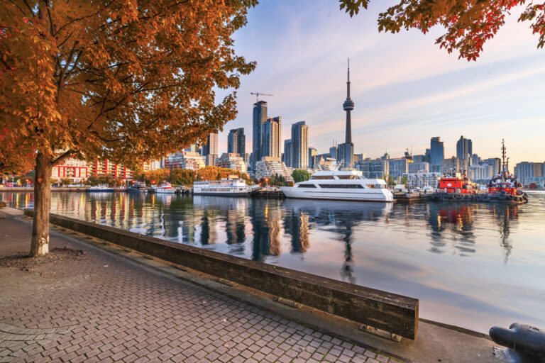 Toronto skyline and autumn leaves in Canada