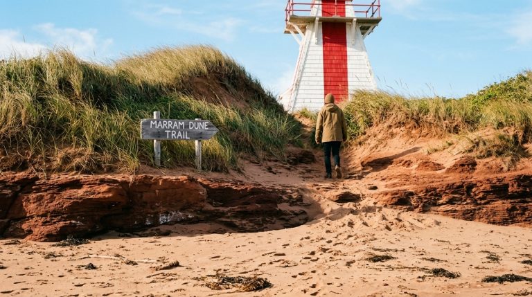 Person walks up Marram Dune Trail toward a PEI lighthouse, illustrating Prince Edward Island PNP news