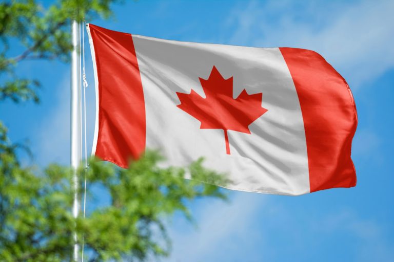 IRCC reconsideration request letter