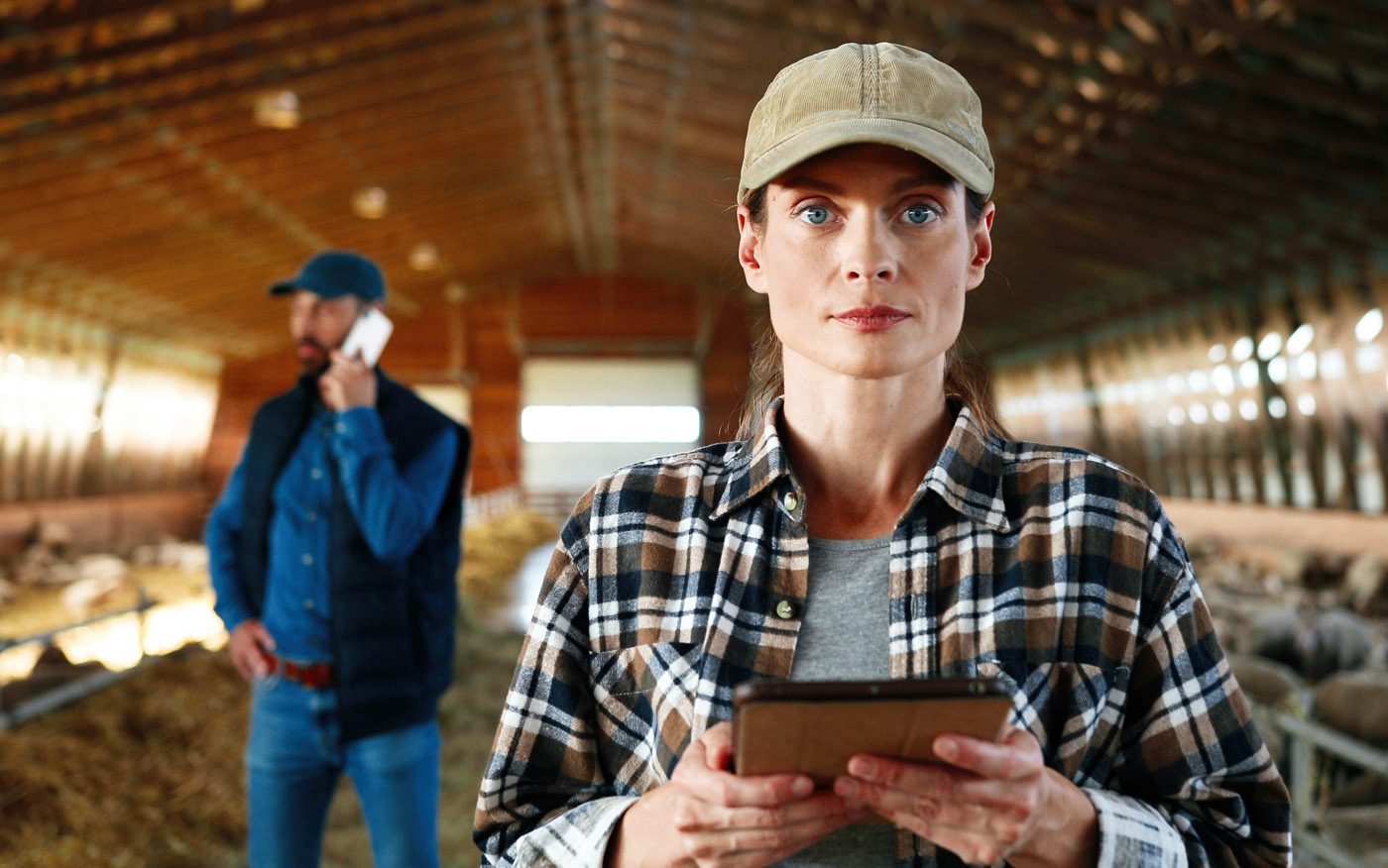 BOWP Canada work permit application